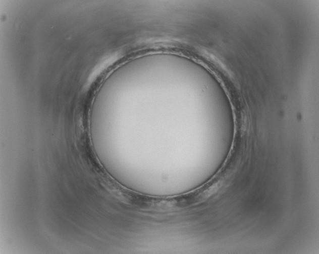 X0000074331261200609152048