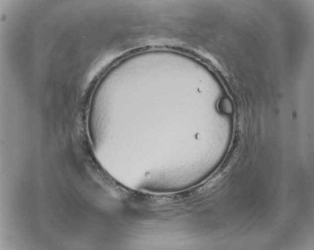 X0000074331263200609152048