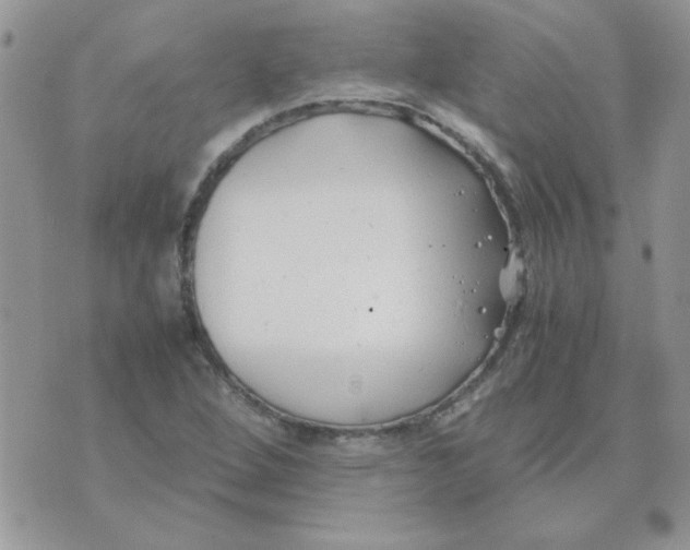 X0000074331264200609152048