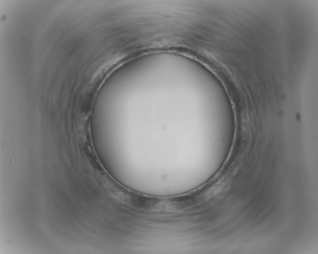 X0000074331265200609152048