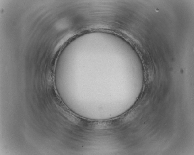 X0000074331266200609152048