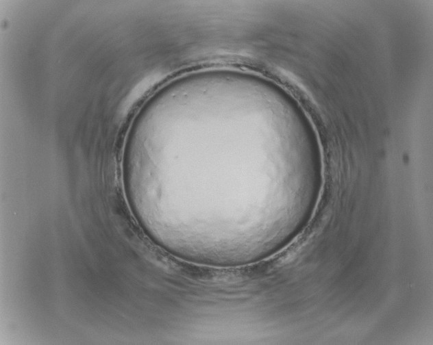 X0000074331267200609152048