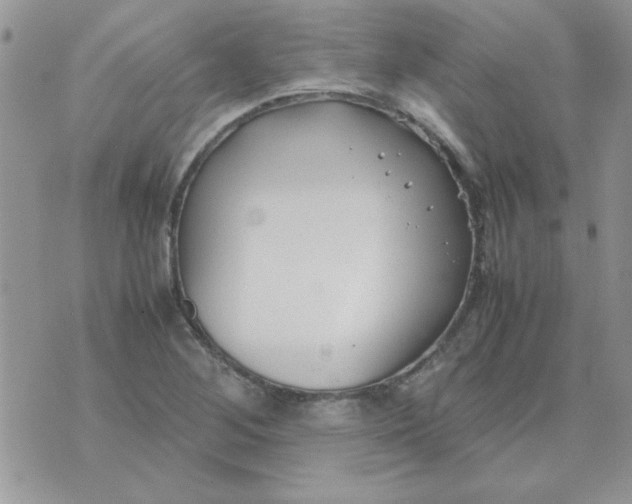 X0000074331268200609152048