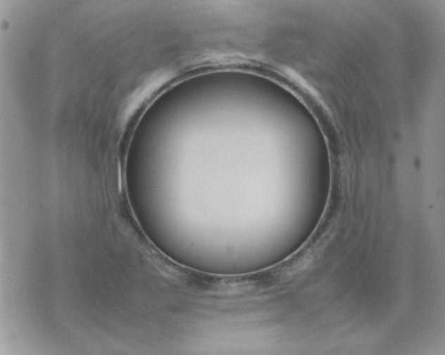 X0000074331269200609152048