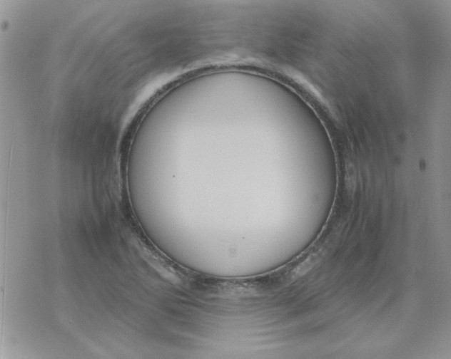 X0000074331270200609152048