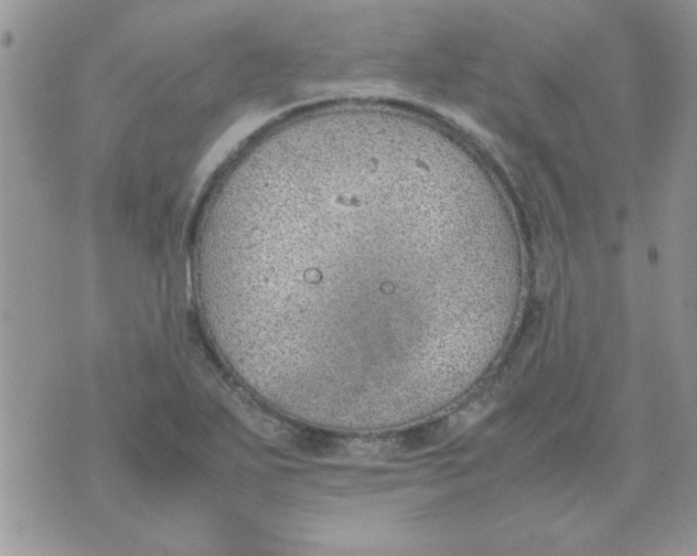 X0000074331271200609152048