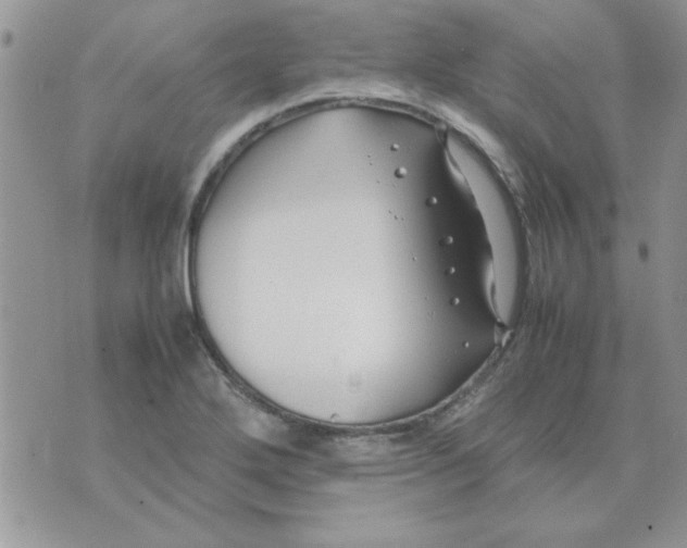 X0000074331272200609152048