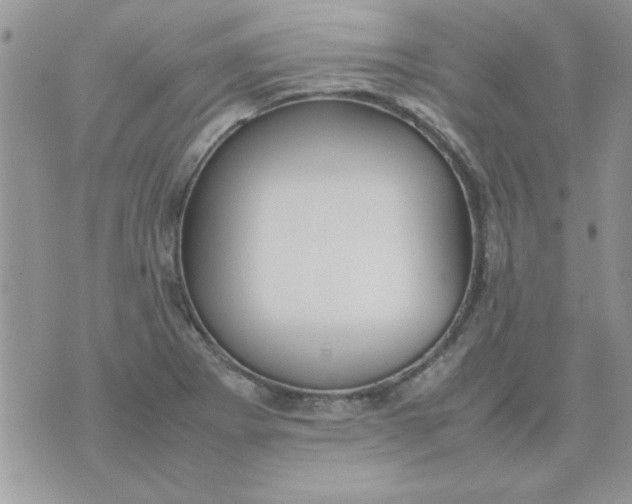 X0000074331273200609152048