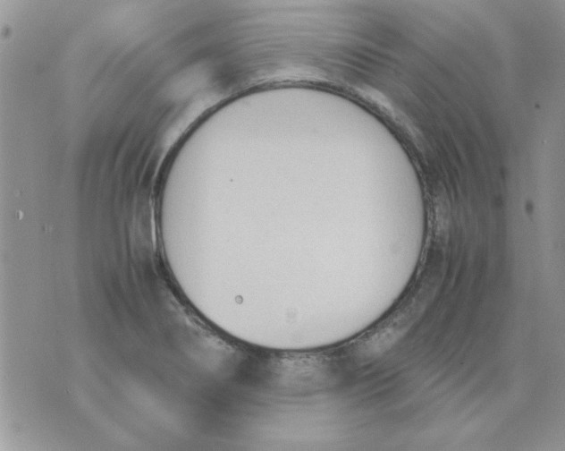 X0000074331274200609152048