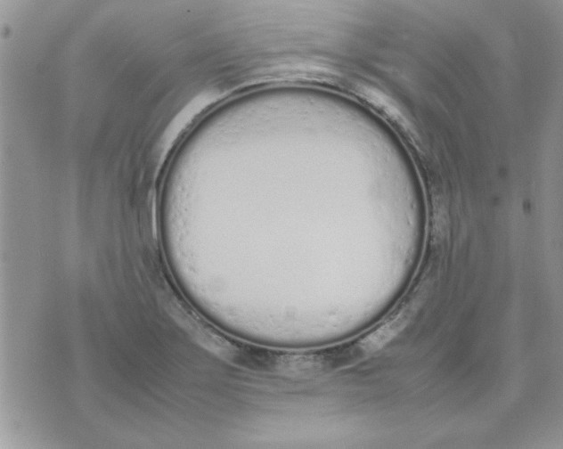 X0000074331275200609152048