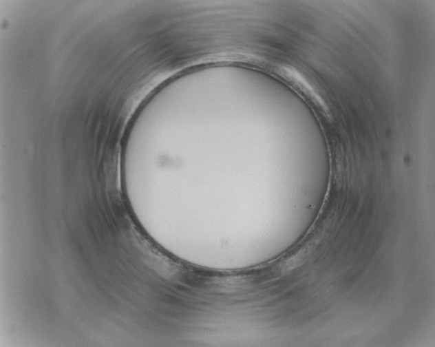 X0000074331276200609152048