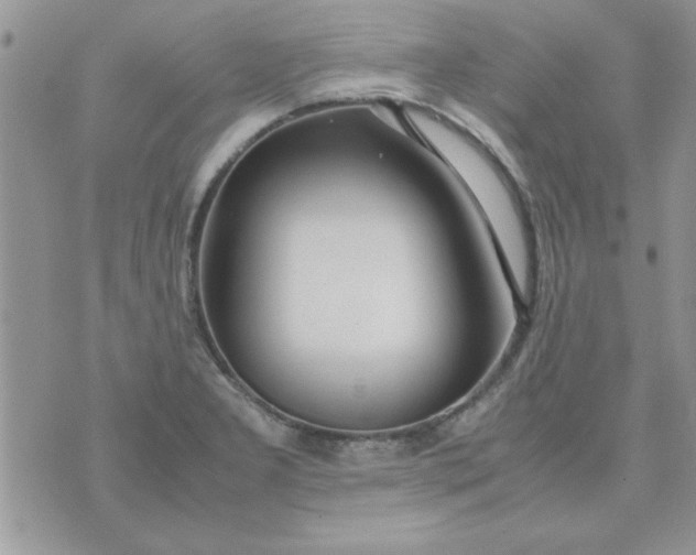 X0000074331277200609152048