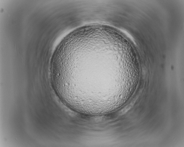 X0000074331279200609152048