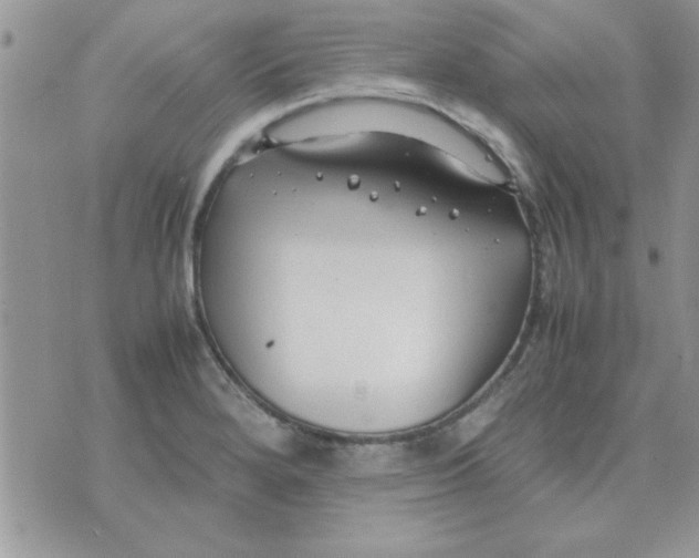 X0000074331280200609152048