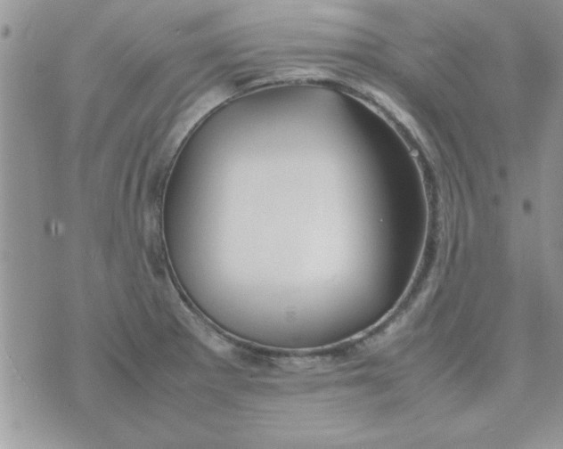 X0000074331281200609152048