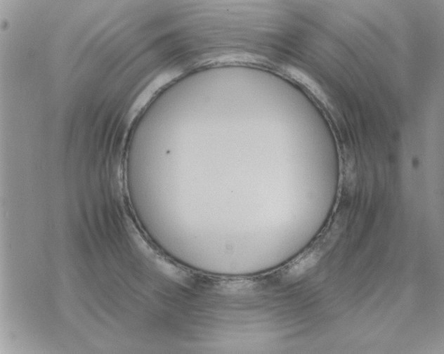 X0000074331282200609152048