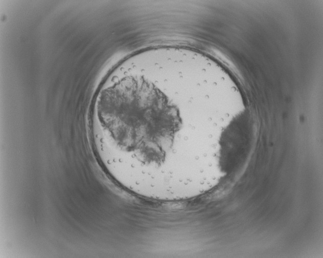 X0000074331283200609152048