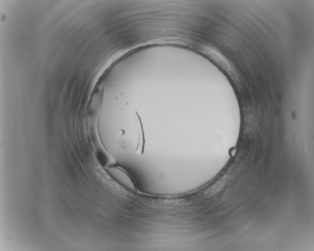 X0000074331284200609152048