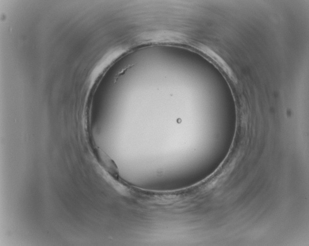 X0000074331285200609152048