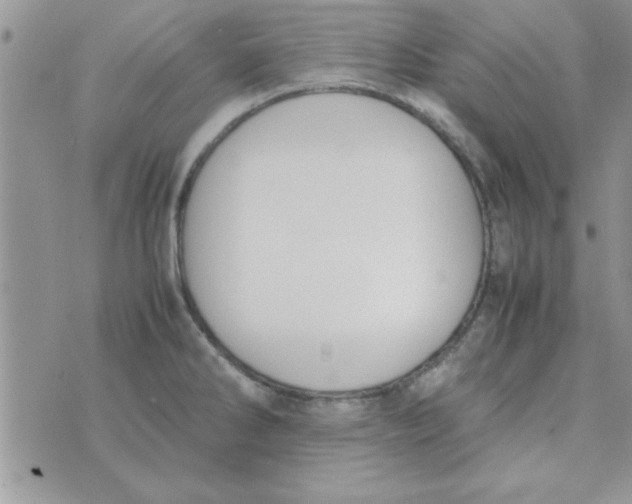 X0000074331286200609152048