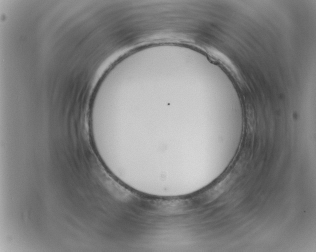 X0000074331288200609152048