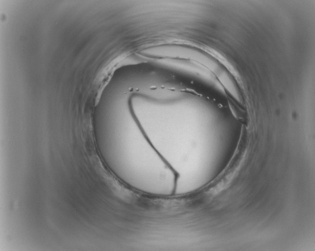 X0000074331289200609152048