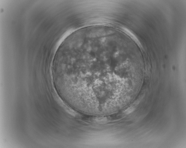 X0000074331291200609152047