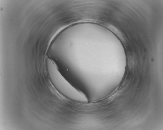 X0000074331292200609152047