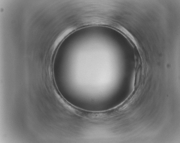 X0000074331293200609152047