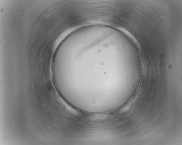 X0000074331294200609152047