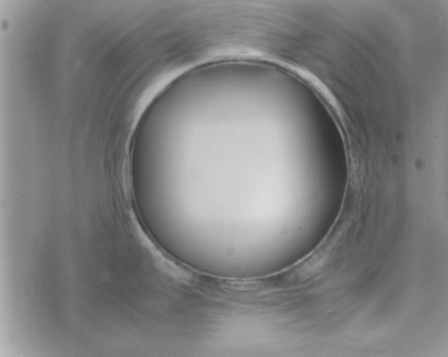 X0000074331295200609152047