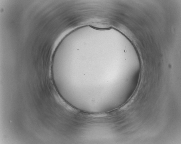 X0000074331296200609152047