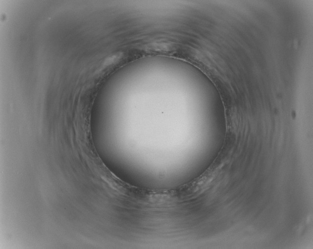 X0000074331297200609152047