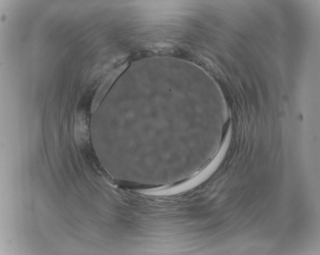 X0000074331298200609152047