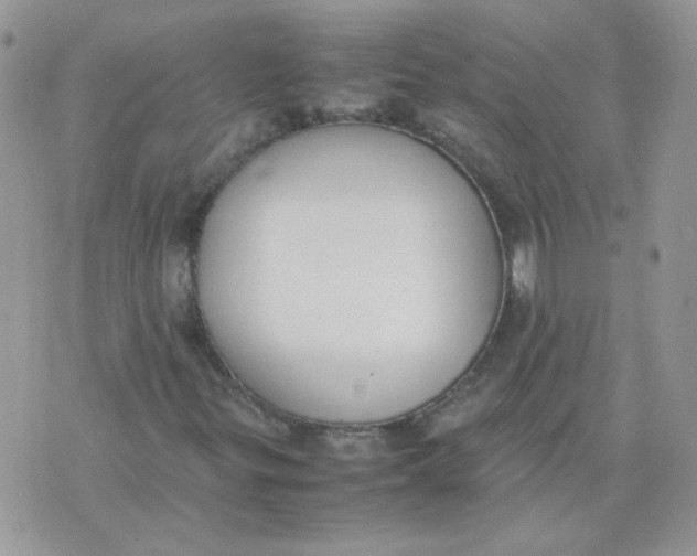 X0000074331299200609152047