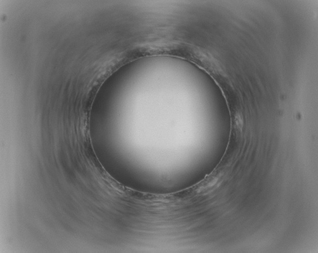 X0000074331300200609152047