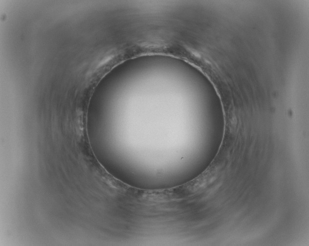 X0000074331301200609152047