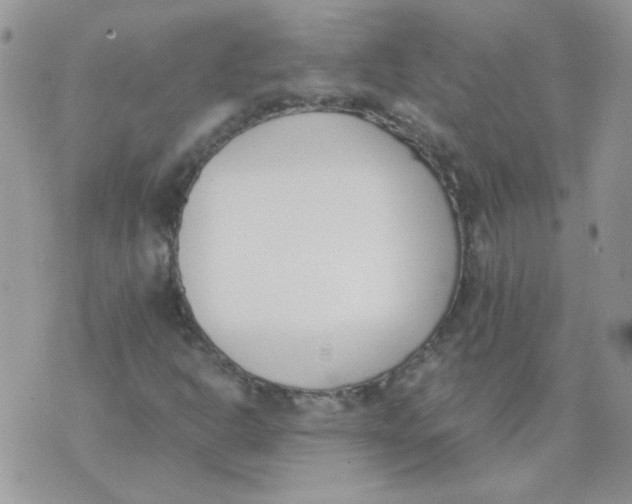 X0000074331302200609152047