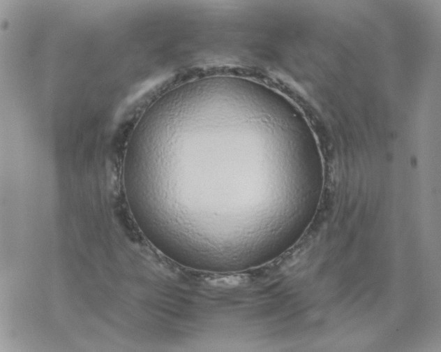 X0000074331303200609152047