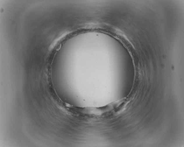 X0000074331304200609152047