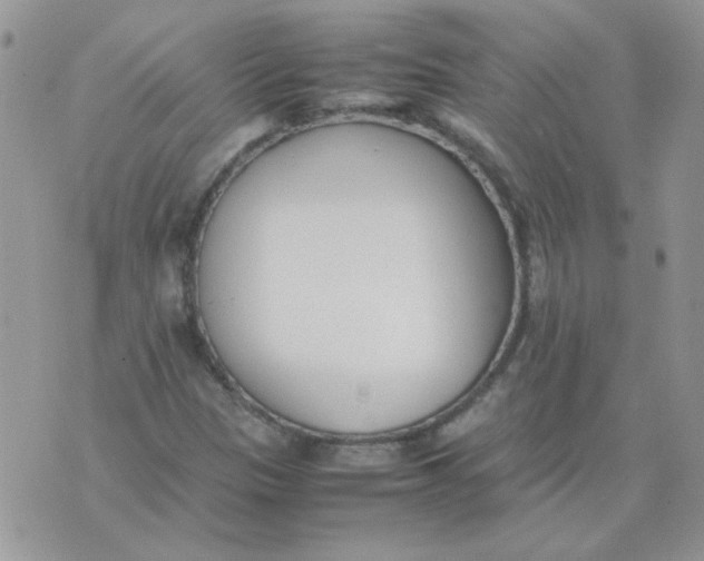 X0000074331305200609152047