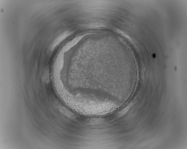 X0000074331306200609152047