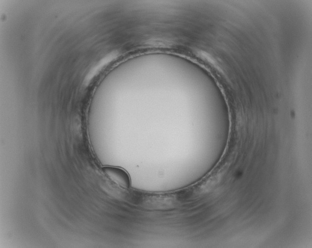 X0000074331307200609152047