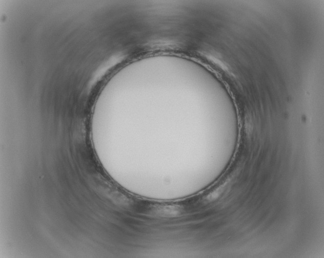 X0000074331309200609152047