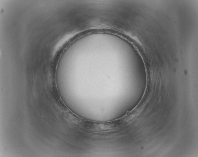 X0000074331311200609152047