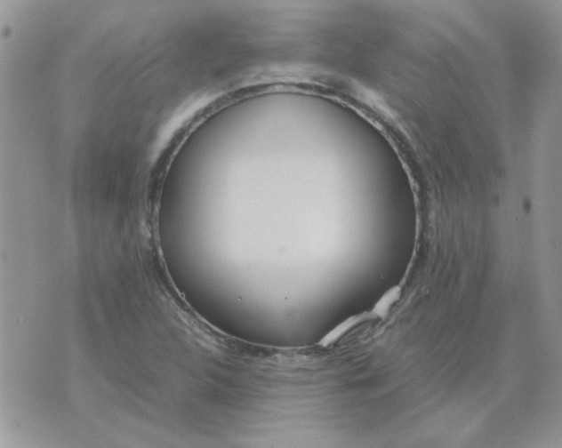 X0000074331312200609152047