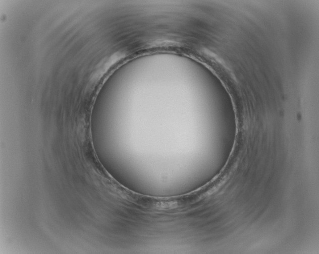 X0000074331313200609152047