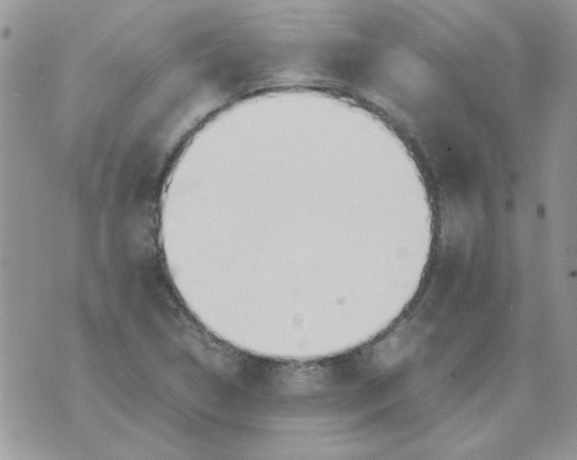 X0000074331314200609152047