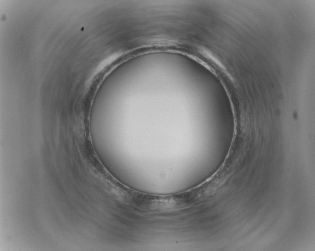 X0000074331315200609152047