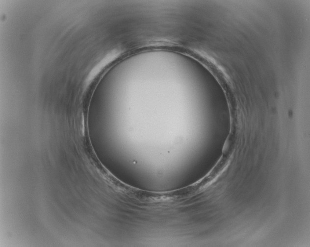 X0000074331317200609152047